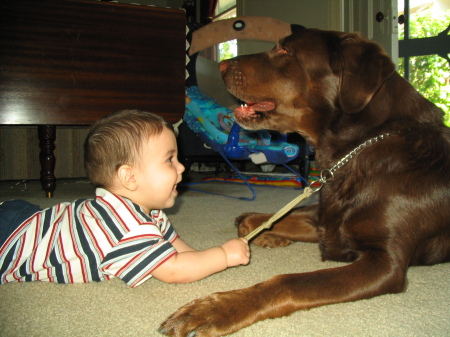 Sage 3 years ago and my chocolate lab Gunther