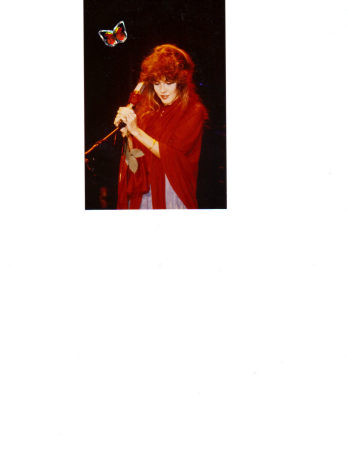 Stevie Nicks 1982