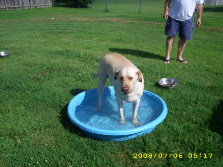 Jackson, son of Jake getting some pool time!!