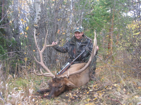 Trophy Elk 7x8 Monster in Soda Springs Idaho