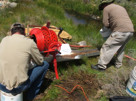 Gold Mining