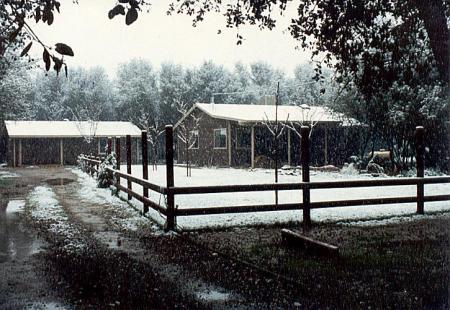 Home in winter