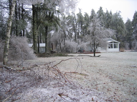 Ice Storm 2008