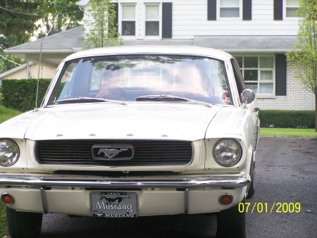 MY Mustang 1966