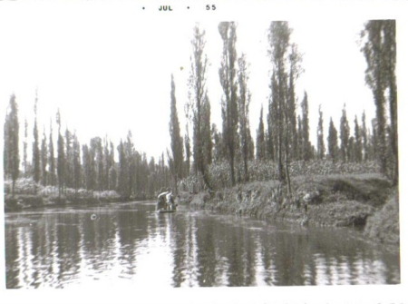 The floating gardens of Xochimilco