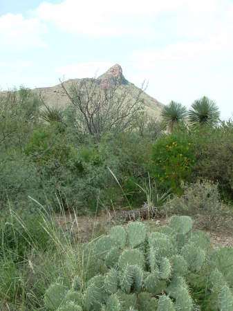 Big Bend National Park