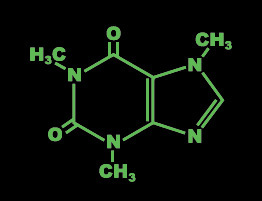 the most important molecule