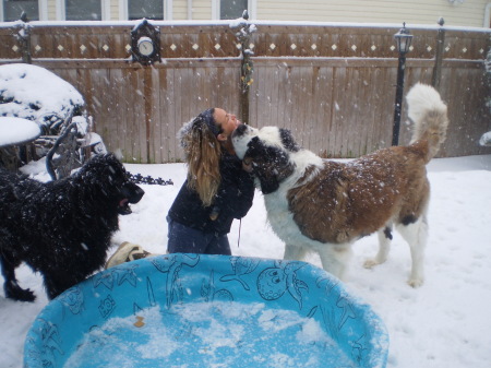 snowbabies