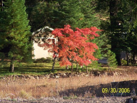 fall 2009 at lake almanor