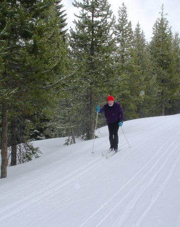 Cross-country skiing - 2008