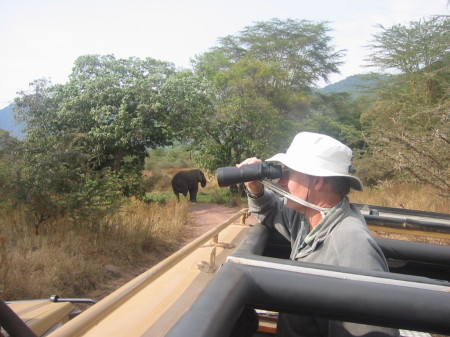 African safari, summer 2008