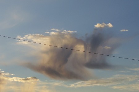 Bird clouds