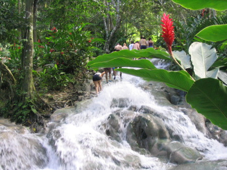 Horseback Jamaica 018