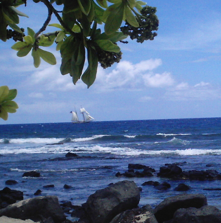 Two master Schooner off the Hawaiian Coast