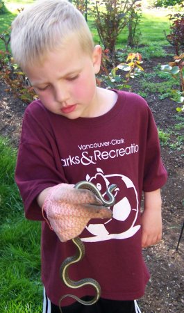 Jack and the garden snake