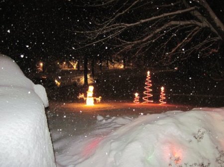 Our front yard during the snow storm of 2009