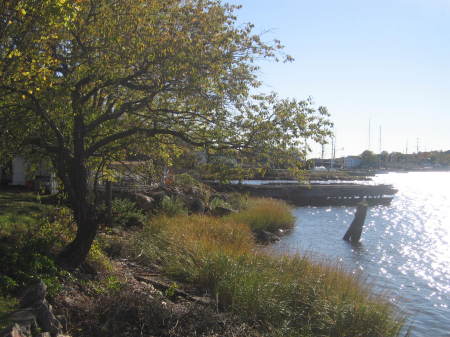 Another Shot along the Mystic River.