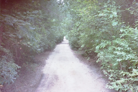 South NJ Jeep Trail