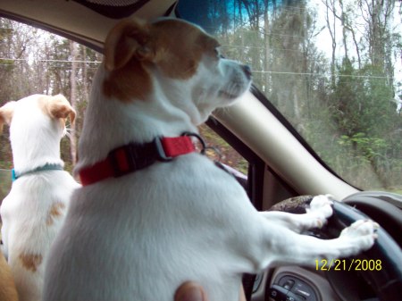 Missy driving us home 2009.jpg