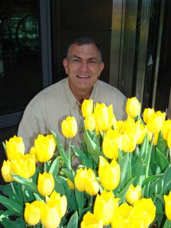 Todd in the Tulips in Tokyo