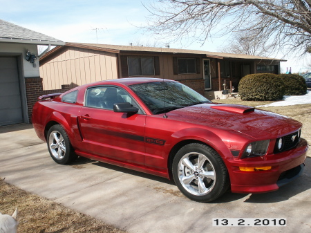 Mitzi's Mustang