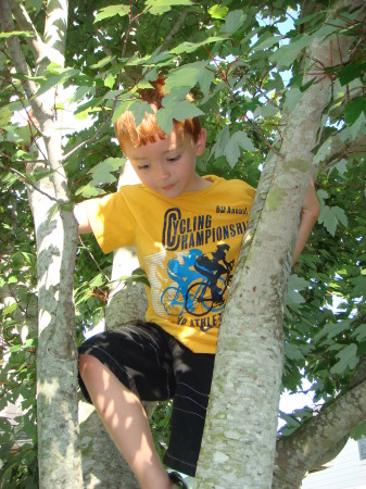 Antonio in tree