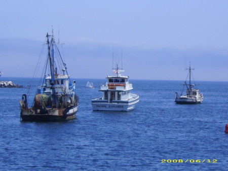 Moored fishing boats at Fisherman's Wharf