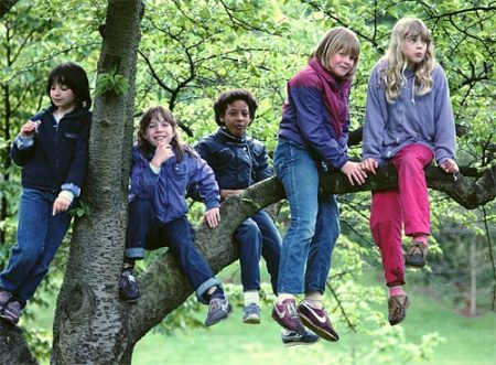 Girls in Tree