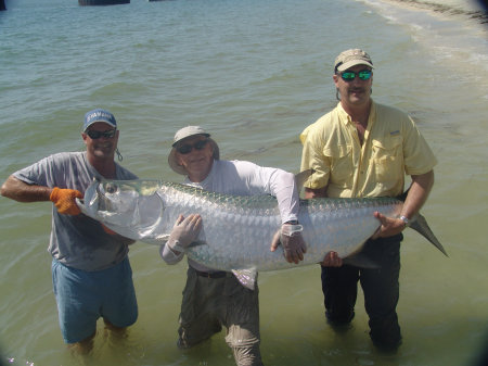 Boca Grande Tarpon 2006 84" 200+lbs