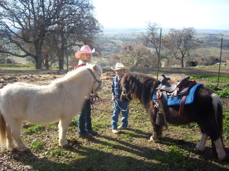 Destiny & Logan Christmas ponies 2008