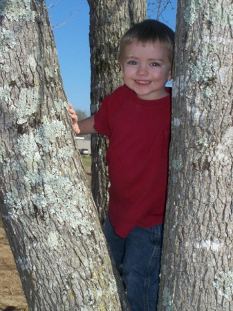 Cayden likes trees