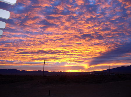 Morning view from our patio