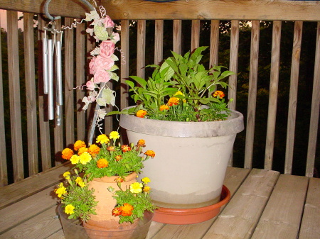 Deck flowers
