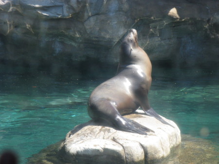 Oregon Coast Museum