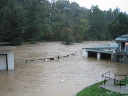 My Yard after Ivan hit