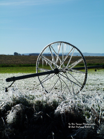 Icy waterline