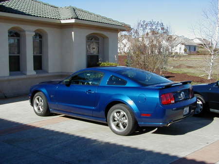 My Mustang