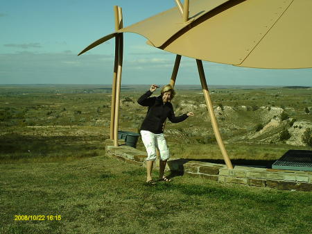 wind blown in texas