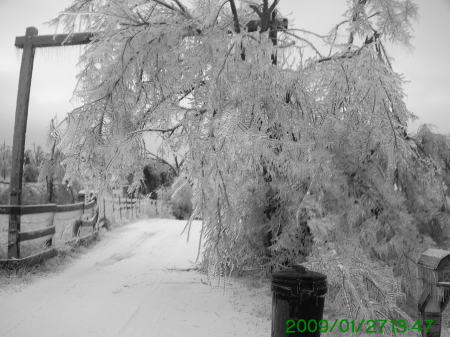 Ice storm Jan,26th,2009