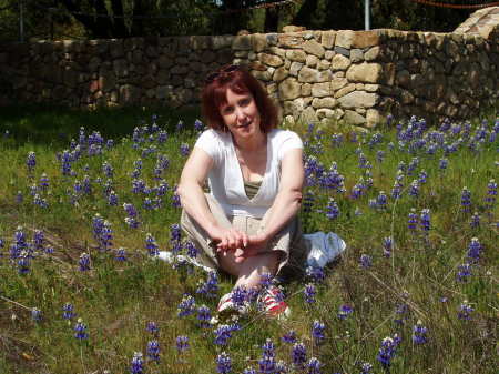 My wife, Susan, in the Napa Wine Country