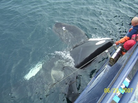 fishing alaska