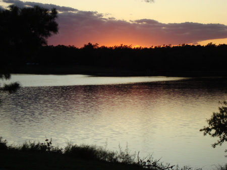 another view of Craighead Forrest