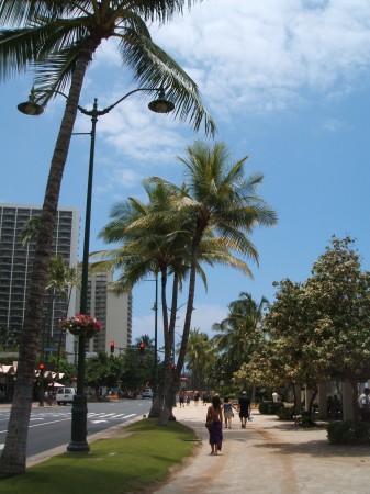 Walking someplace in Hawaii