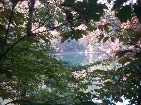 Paintsville Lake