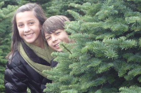 Christmas tree hunting