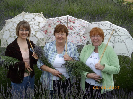 Lavendar Festival in Squim, Wa