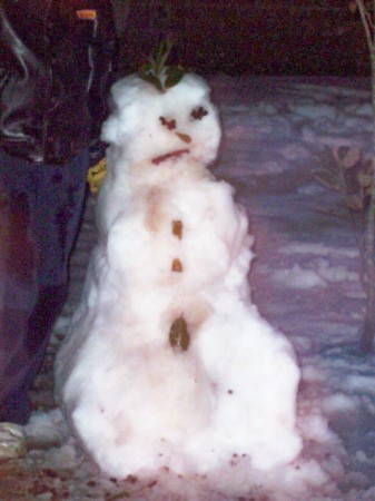 First Snow Man Ever Built In Summerfield Sub.