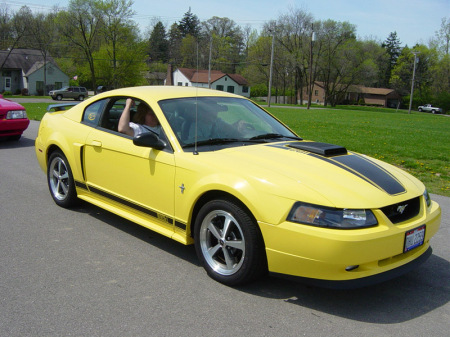 Our 03 Shaker Mach 1