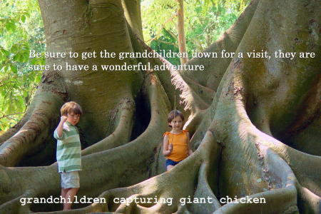 Grandchildren at play..Capturing Giant Chicken