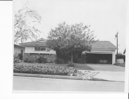 primrose lane, 1964